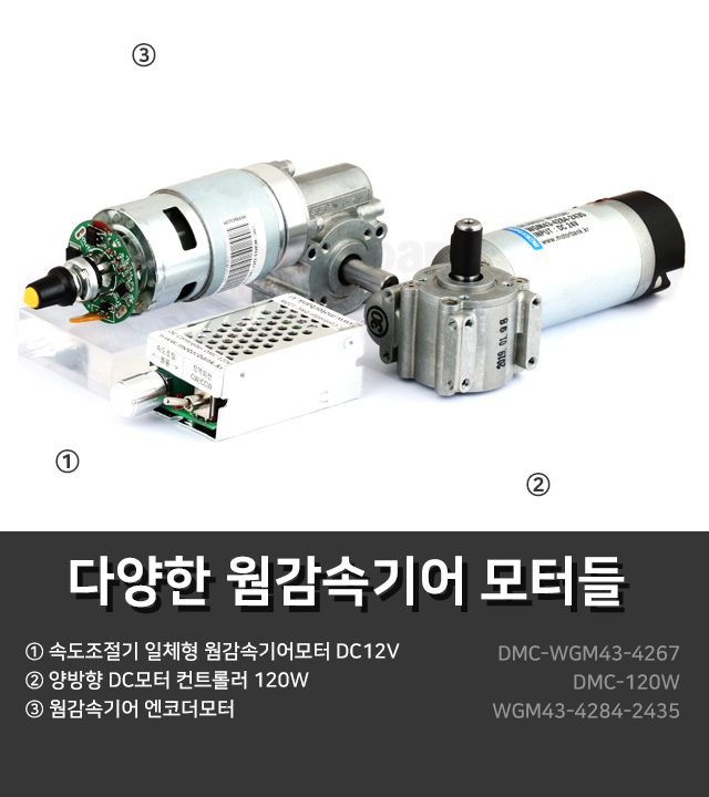 wgm434267_640X720_sample2_171957.jpg