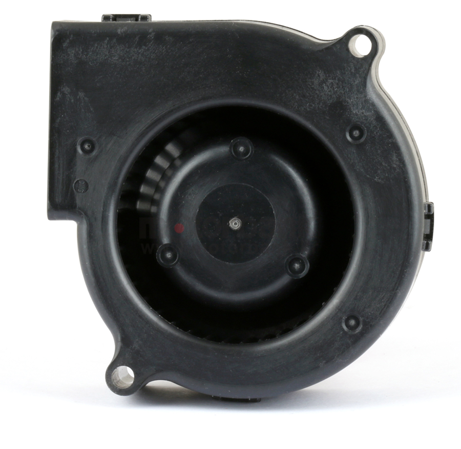 d07f-12sg_900x6900_02_181215.jpg