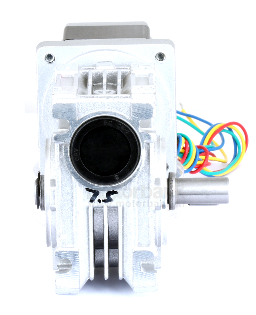 wg70-mk266-r-fv_05_163646.jpg